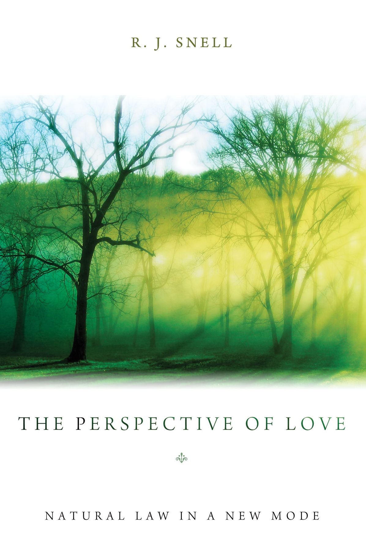 The Perspective of Love: Natural Law in a New Mode