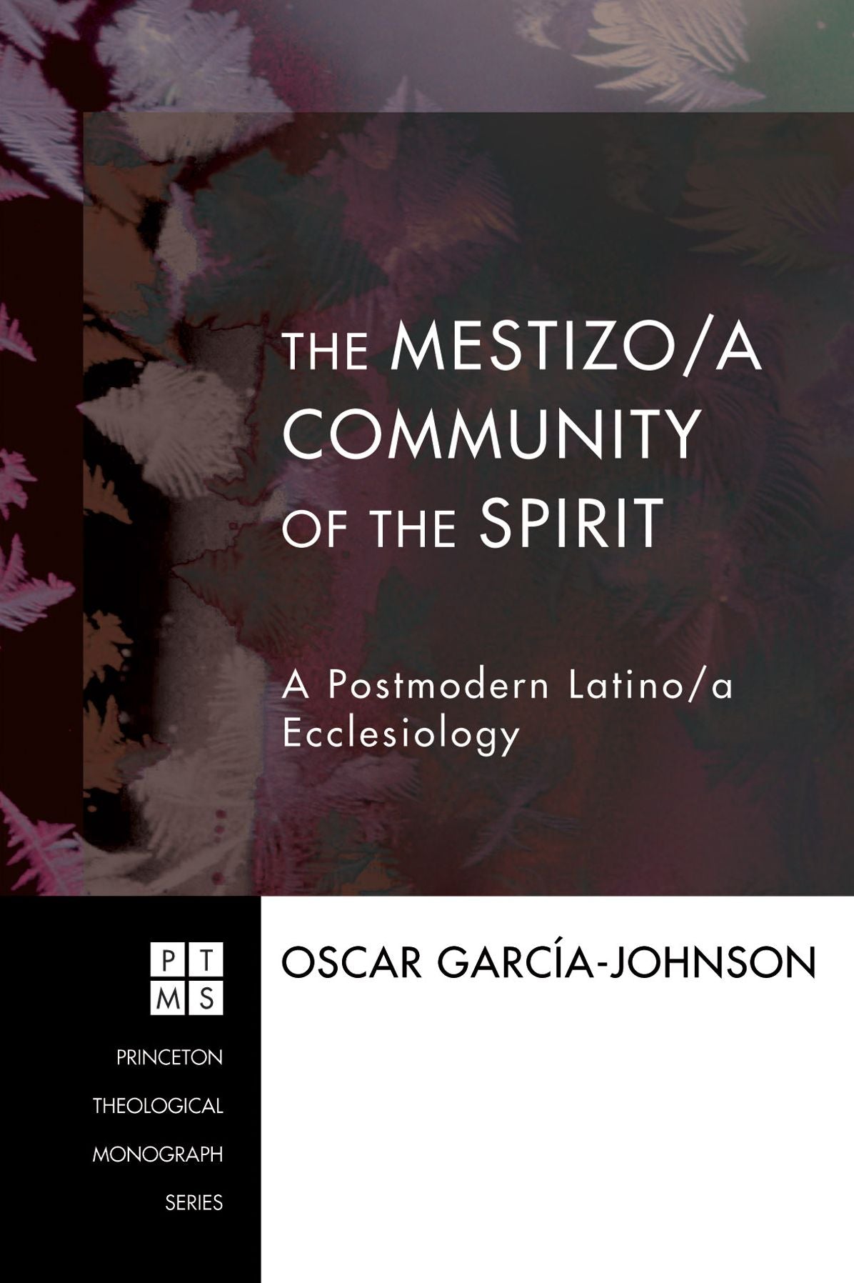 The Mestizo/a Community of the Spirit: A Postmodern Latino/a Ecclesiology