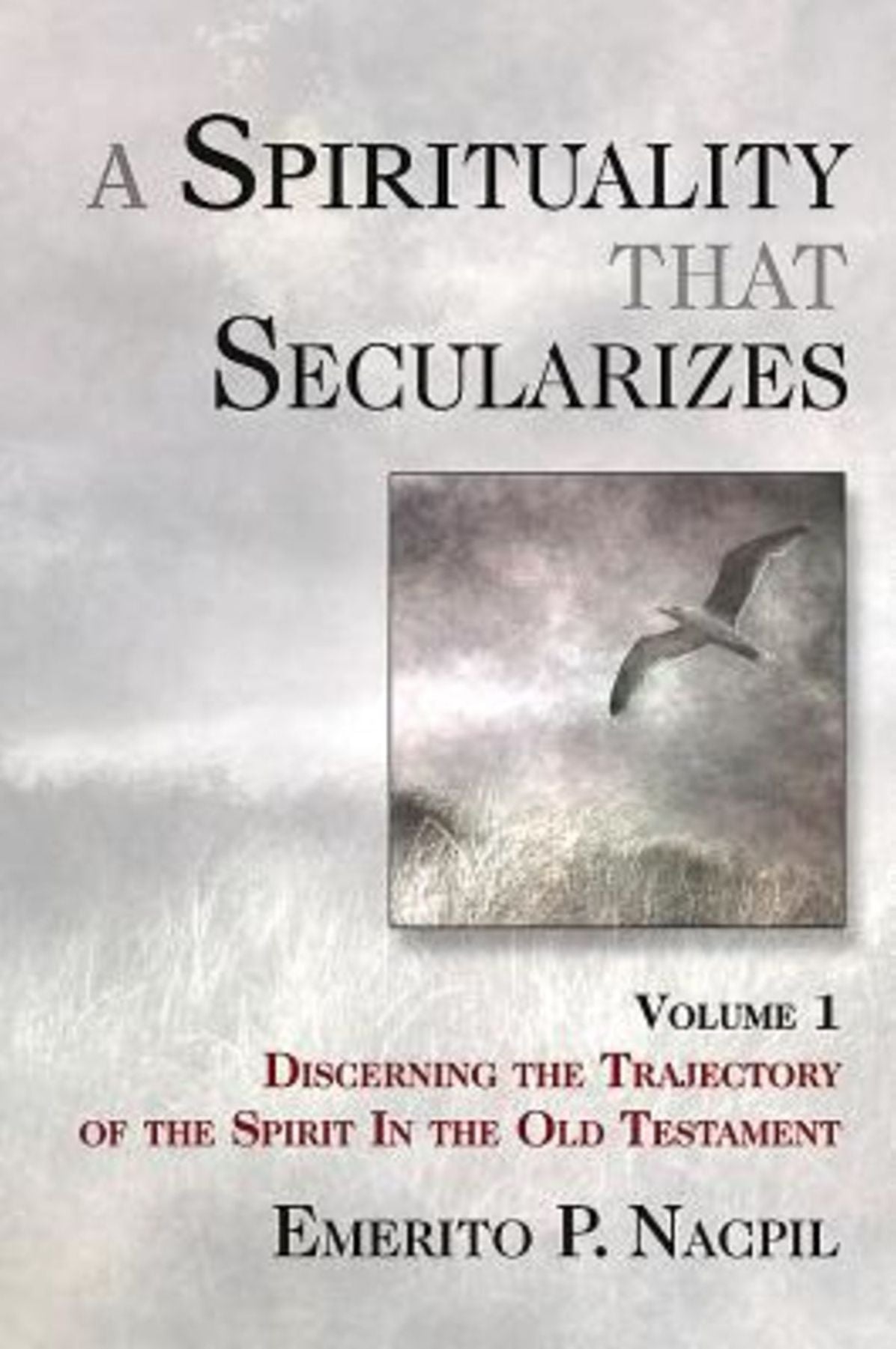 A Spirituality That Secularizes Volume 1: Discerning the Trajectory of the Spirit in the Old Testament
