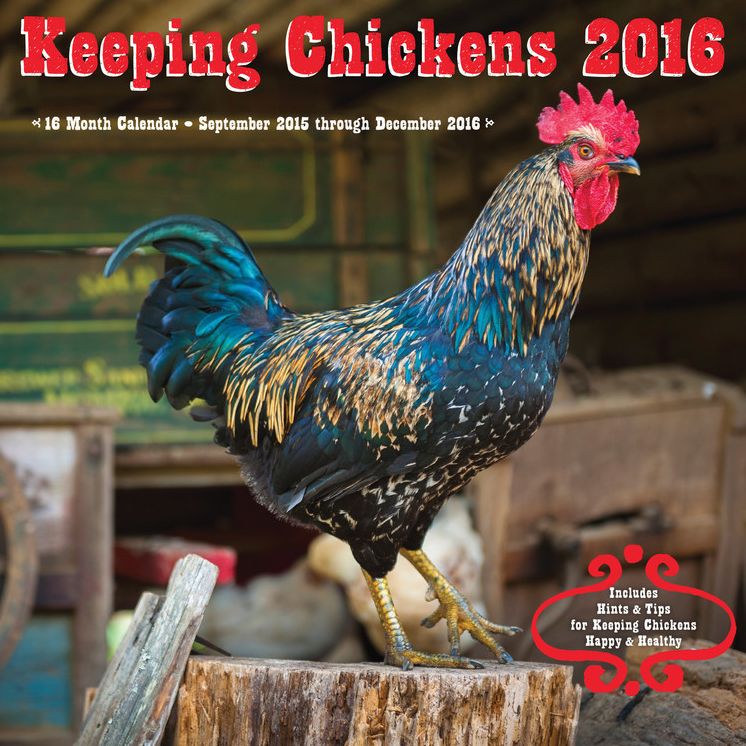 2016 Keeping Chickens Wall Calendar