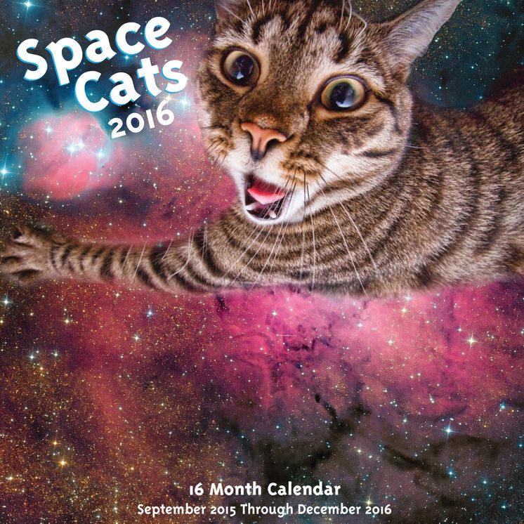 2016 Space Cats! Wall Calendar