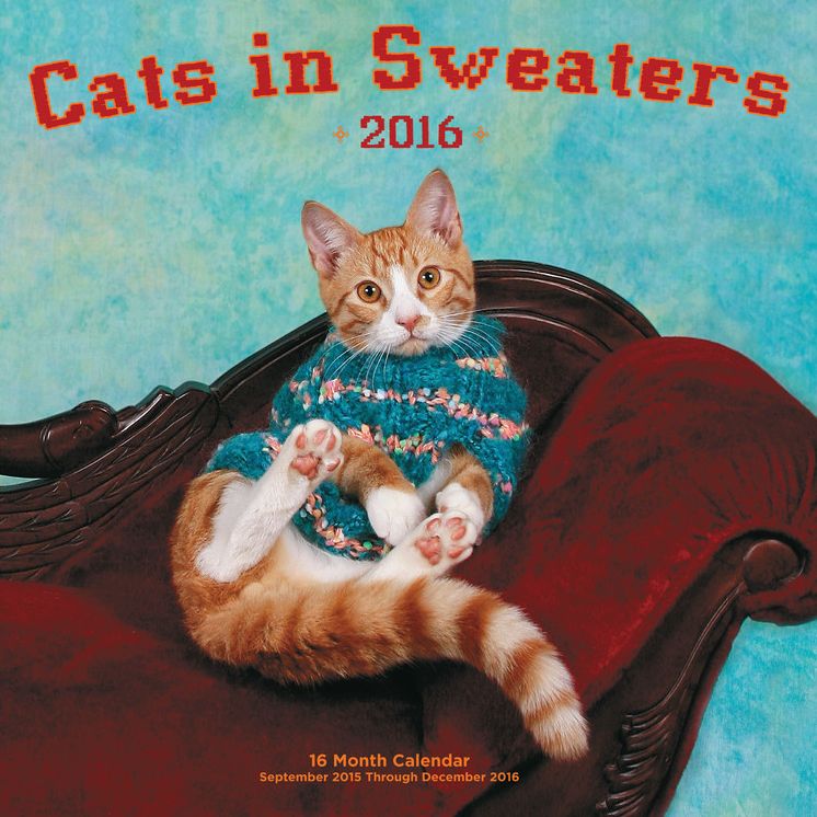 2016 Cats in Sweaters Mini Wall Calendar