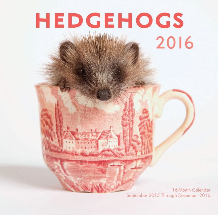 2016 Hedgehogs Mini Wall Calendar