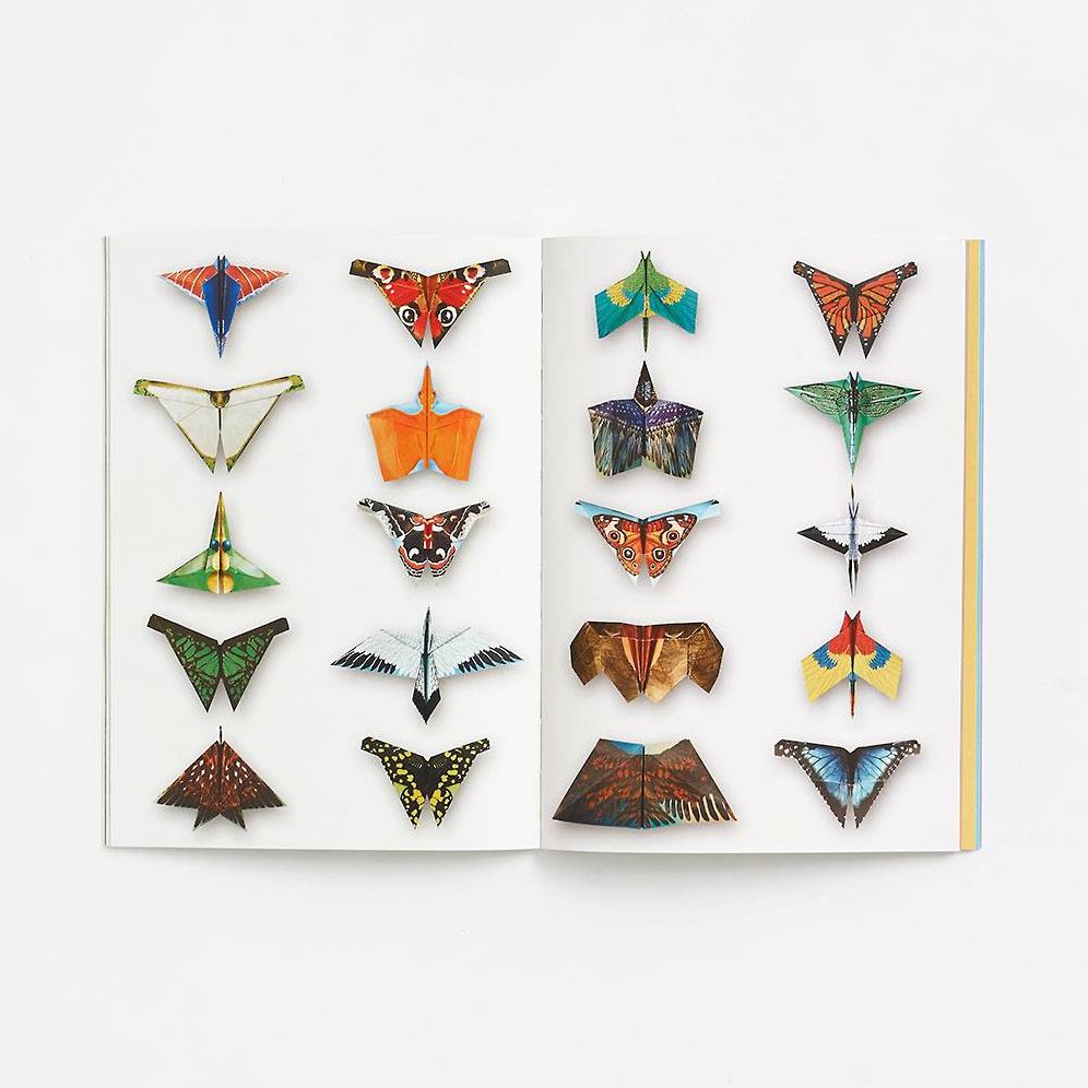 Fold & Fly Butterflies, Birds, and Other Animals that Fly: Over 25 Paper Creations that Fly