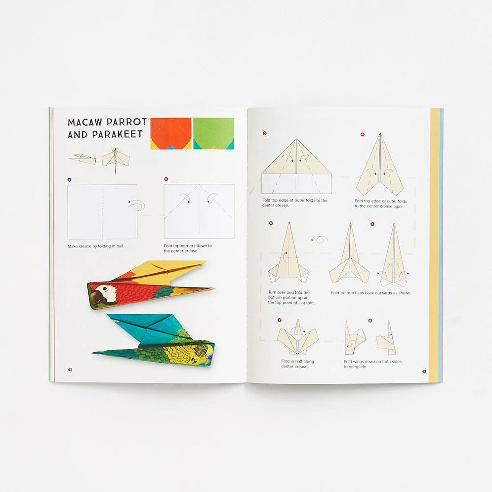 Fold & Fly Butterflies, Birds, and Other Animals that Fly: Over 25 Paper Creations that Fly