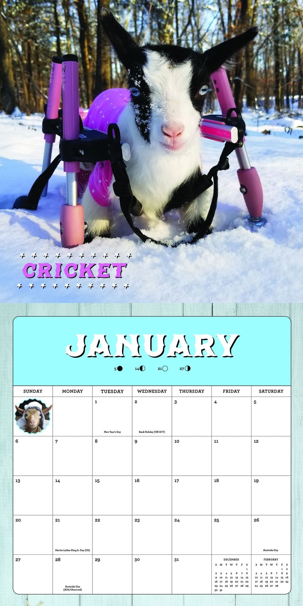 Goats of Anarchy 2019: 16-Month Calendar - September 2018 Through December 2019