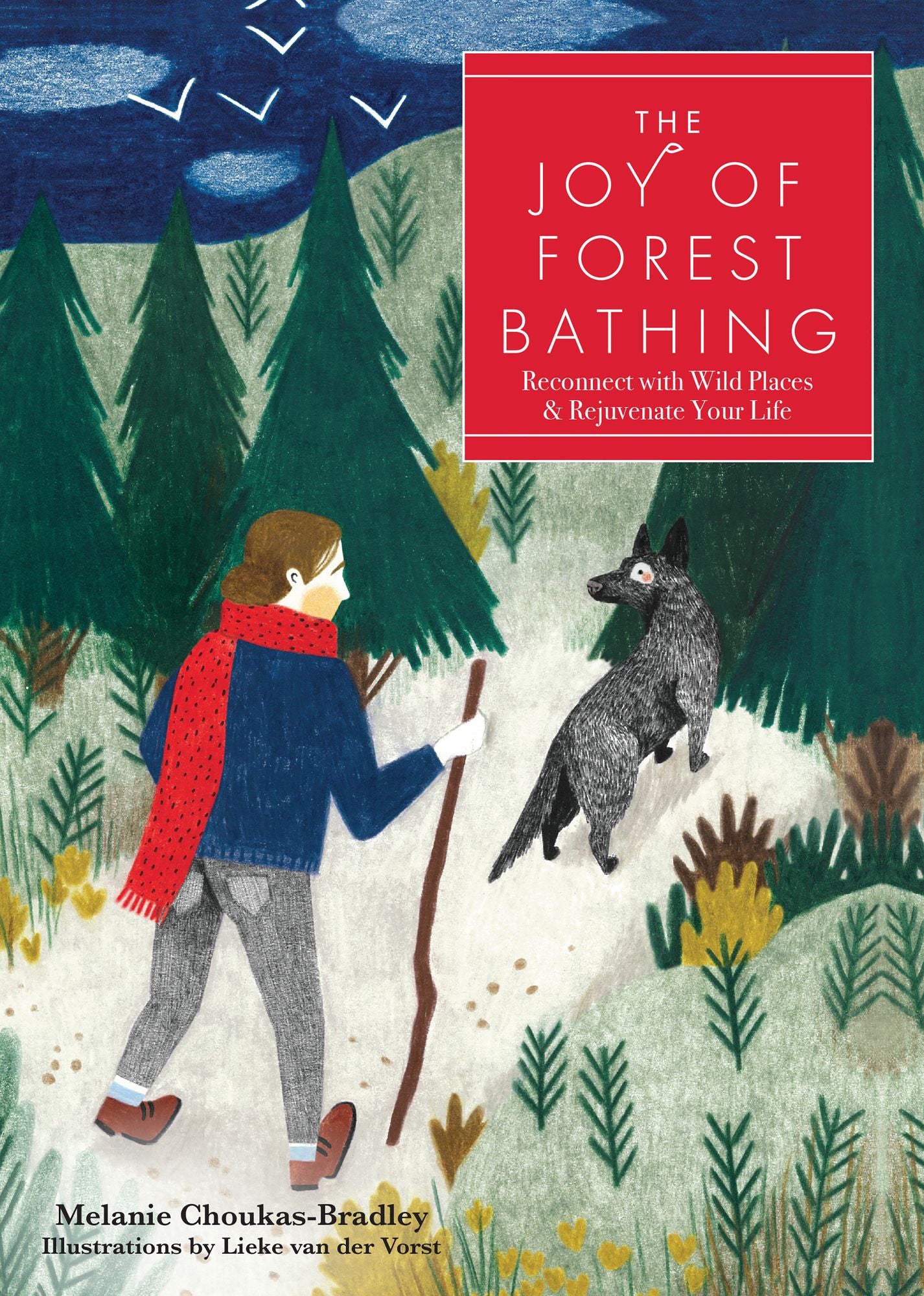 Joy of Forest Bathing