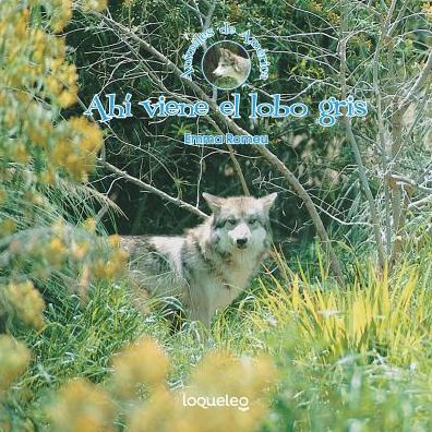Ahi Viene El Lobo Gris