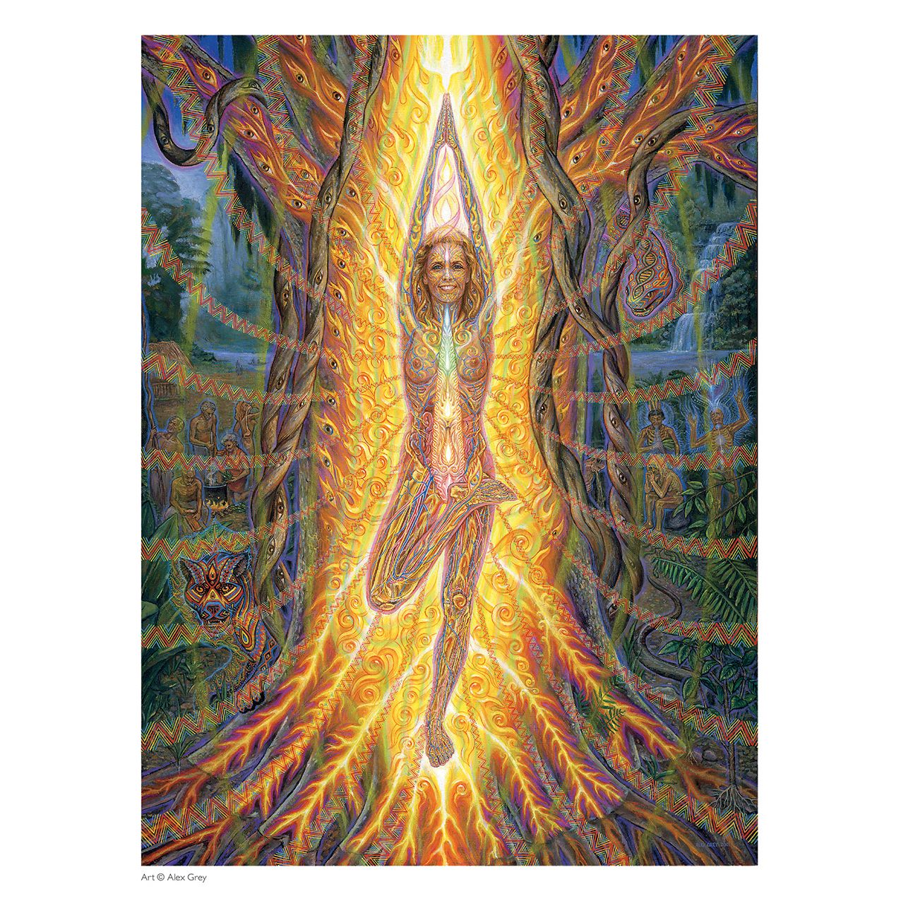 2016 Alex Grey Wall Calendar