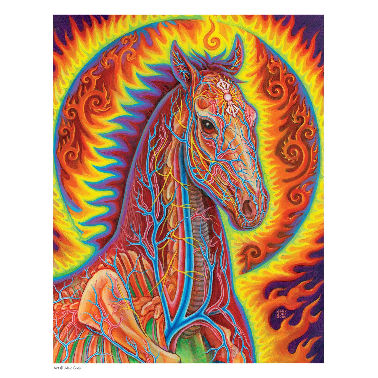 2016 Alex Grey Wall Calendar