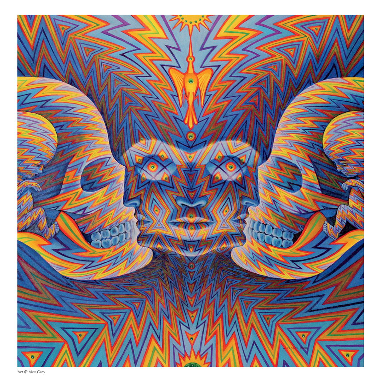 2016 Alex Grey Wall Calendar