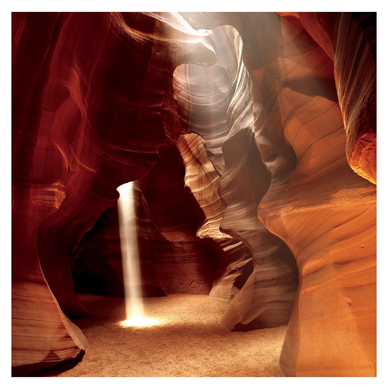 2016 Art Wolfe Wall Calendar
