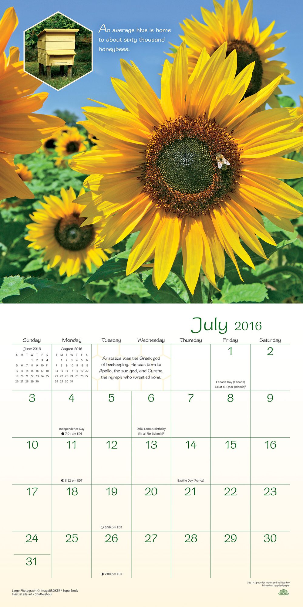 2016 Bee Happy Wall Calendar