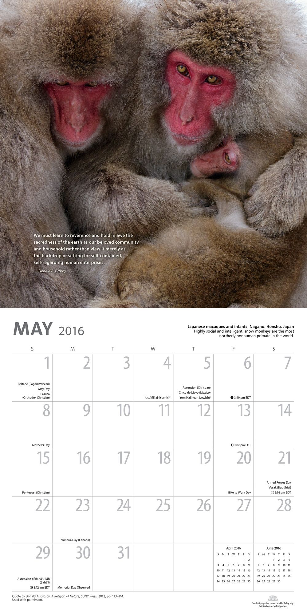 2016 Earth Is My Witness Wall Calendar