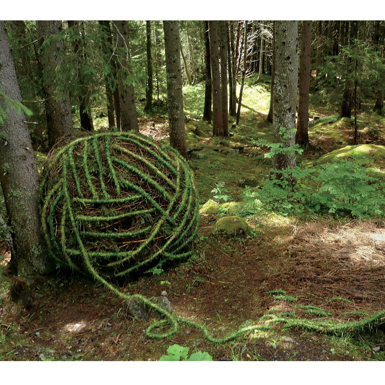 2016 Environmental Art Wall Calendar