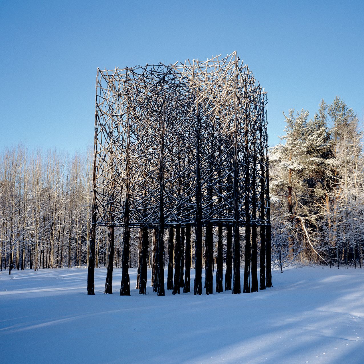 2016 Environmental Art Wall Calendar