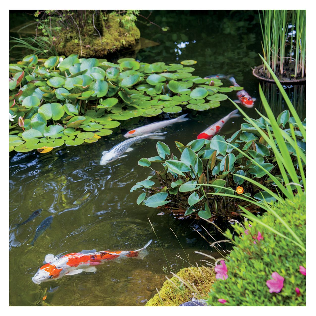 2016 Gardens of the Spirit Wall Calendar
