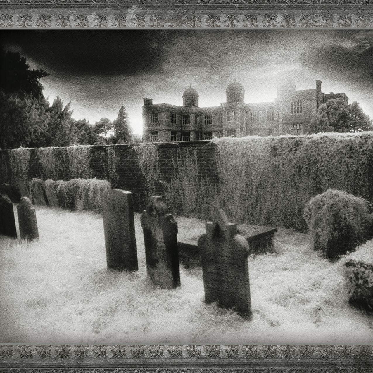 2016 Haunted Realm Wall Calendar