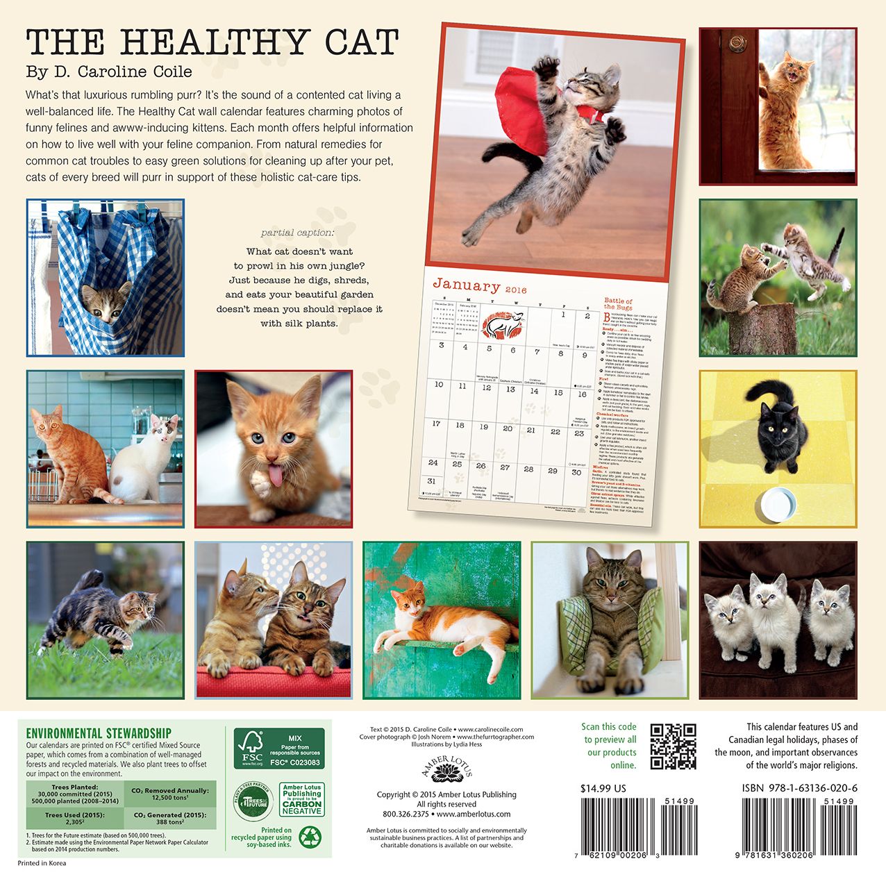 2016 Healthy Cat Wall Calendar