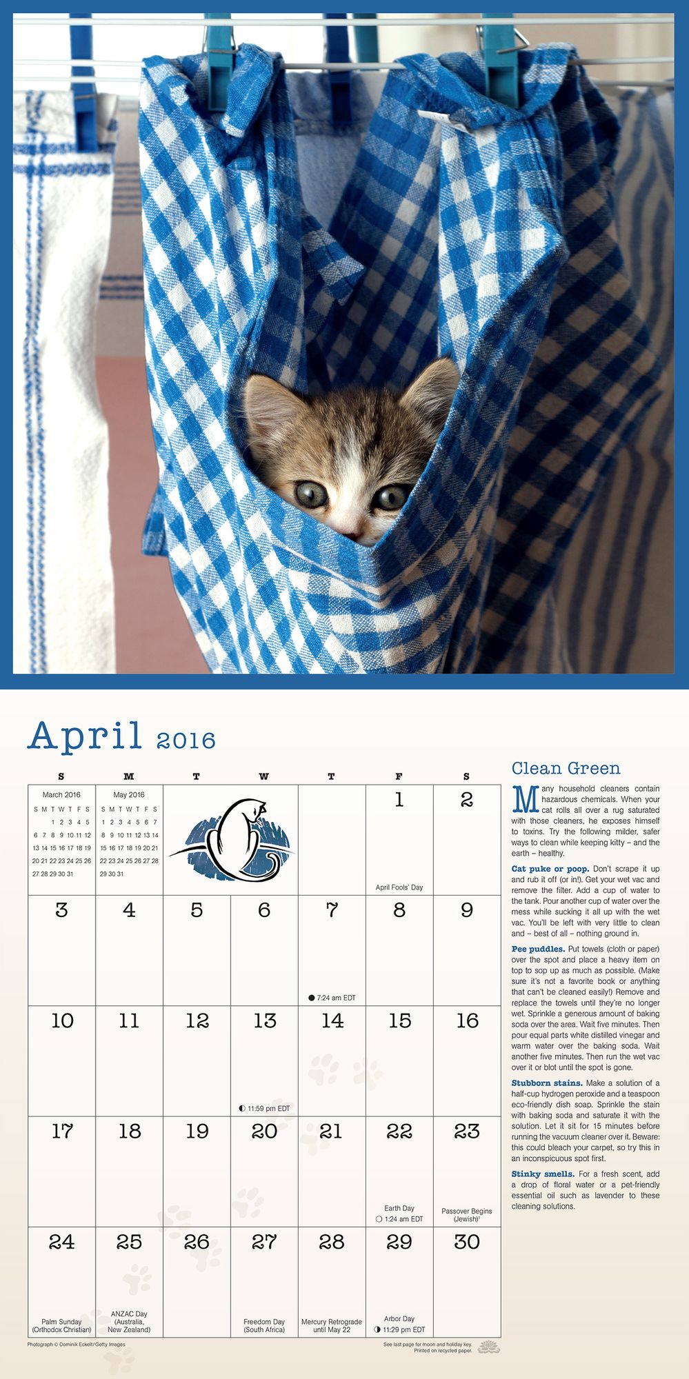 2016 Healthy Cat Wall Calendar