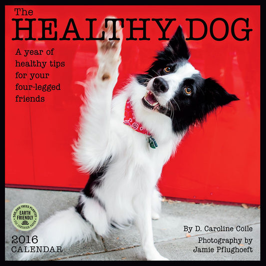 2016 Healthy Dog Wall Calendar