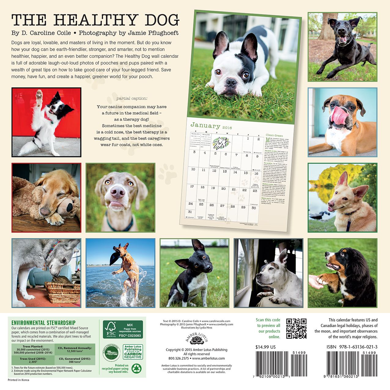 2016 Healthy Dog Wall Calendar