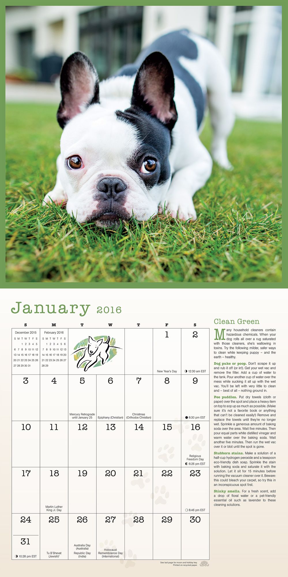 2016 Healthy Dog Wall Calendar