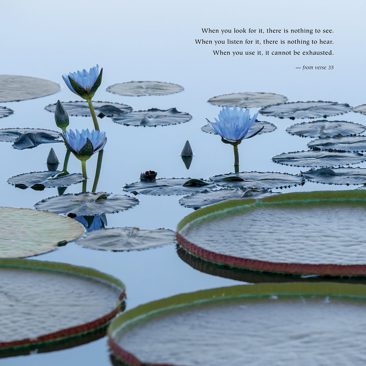 2016 Living the Wisdom of the Tao Wall Calendar