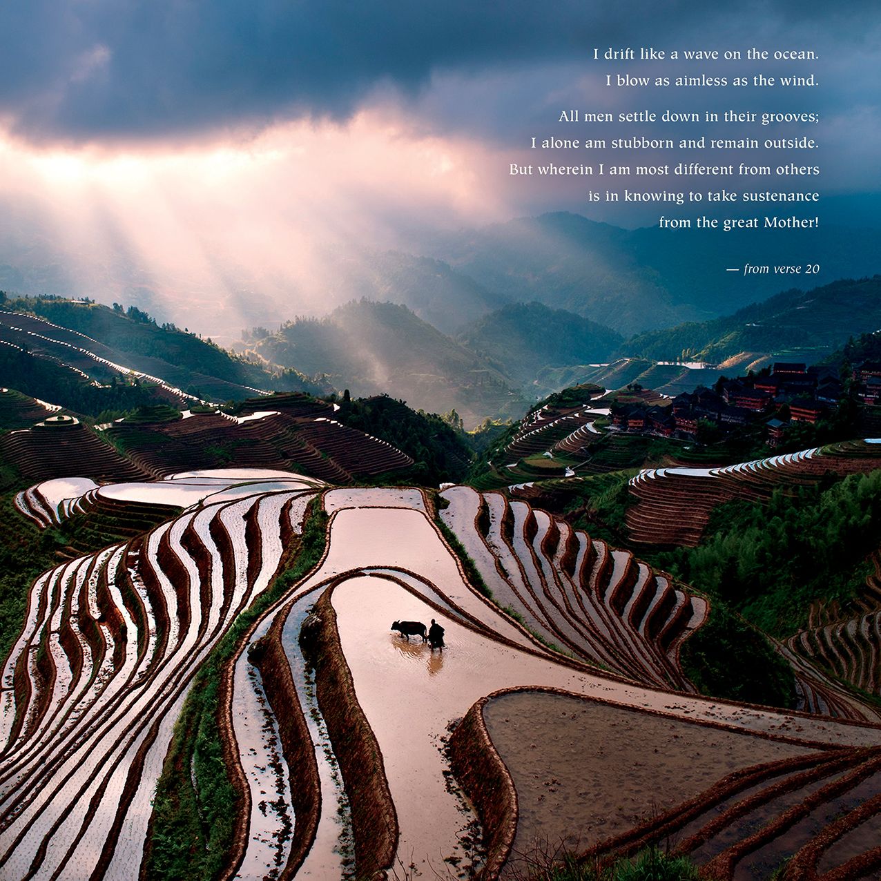 2016 Living the Wisdom of the Tao Wall Calendar