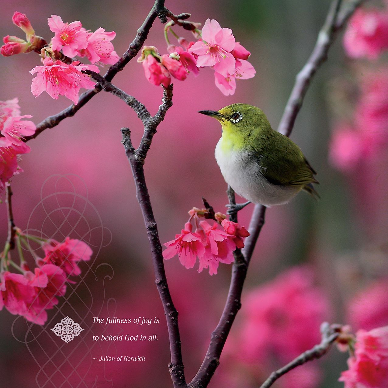2016 Meditation Wall Calendar