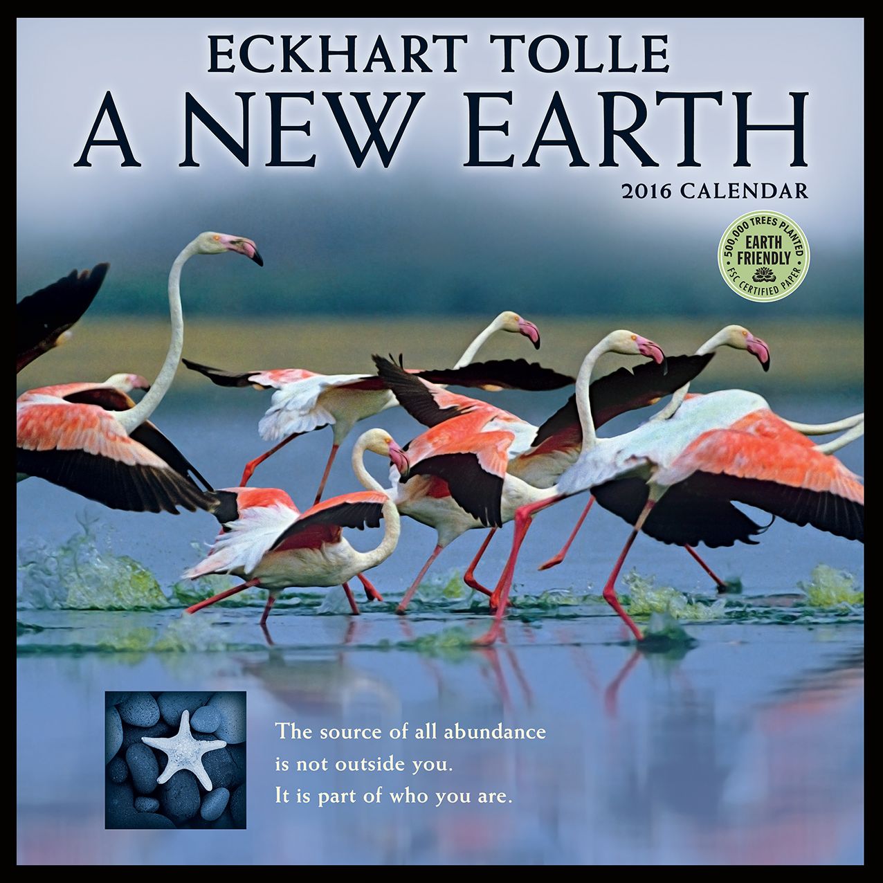2016 New Earth Wall Calendar