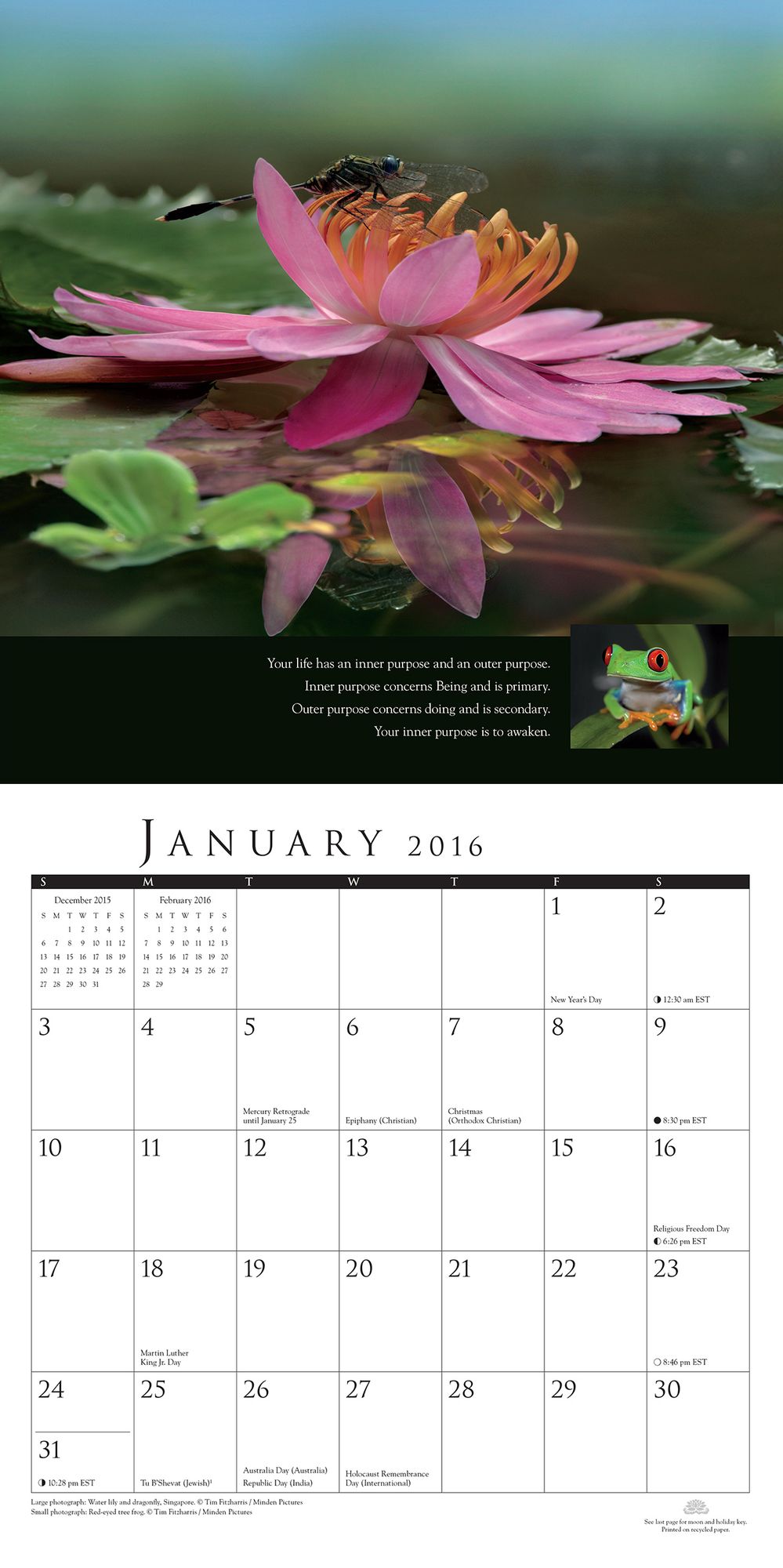 2016 New Earth Wall Calendar