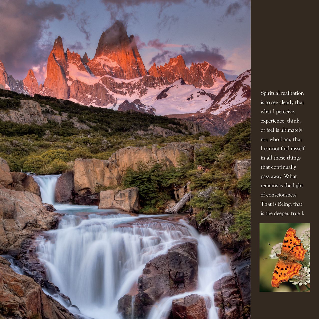 2016 New Earth Wall Calendar