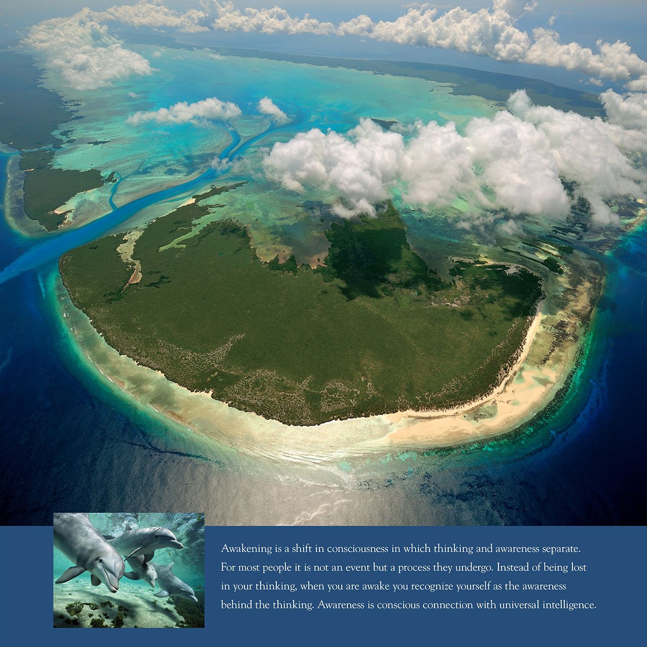 2016 New Earth Wall Calendar