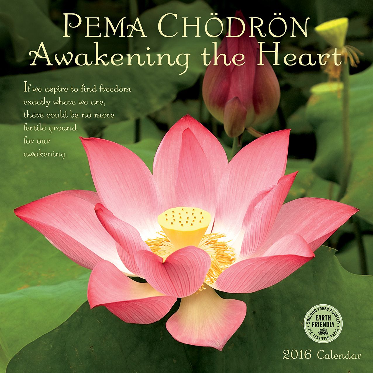 2016 Pema Chodron Wall Calendar