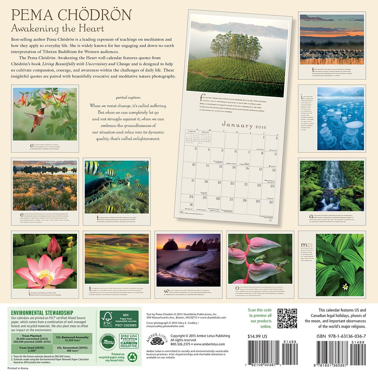 2016 Pema Chodron Wall Calendar