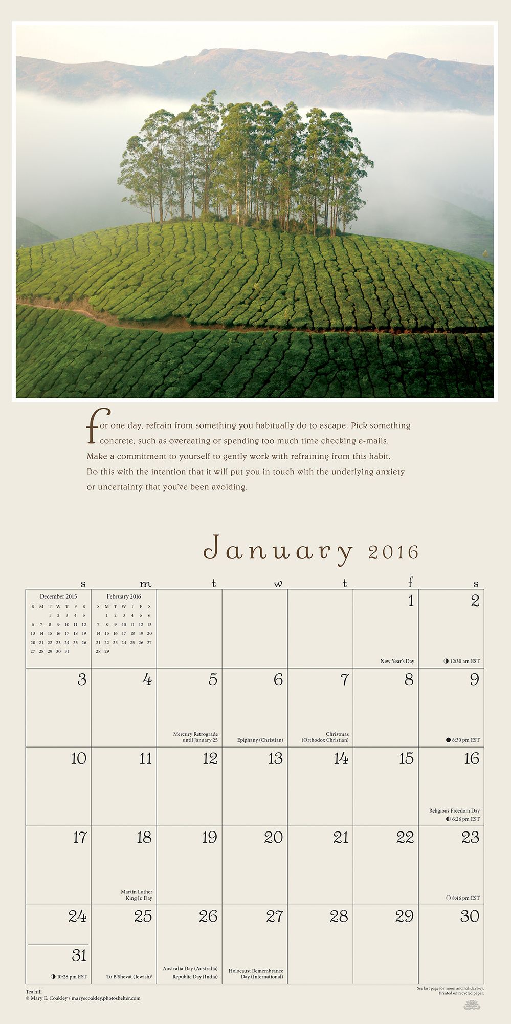 2016 Pema Chodron Wall Calendar