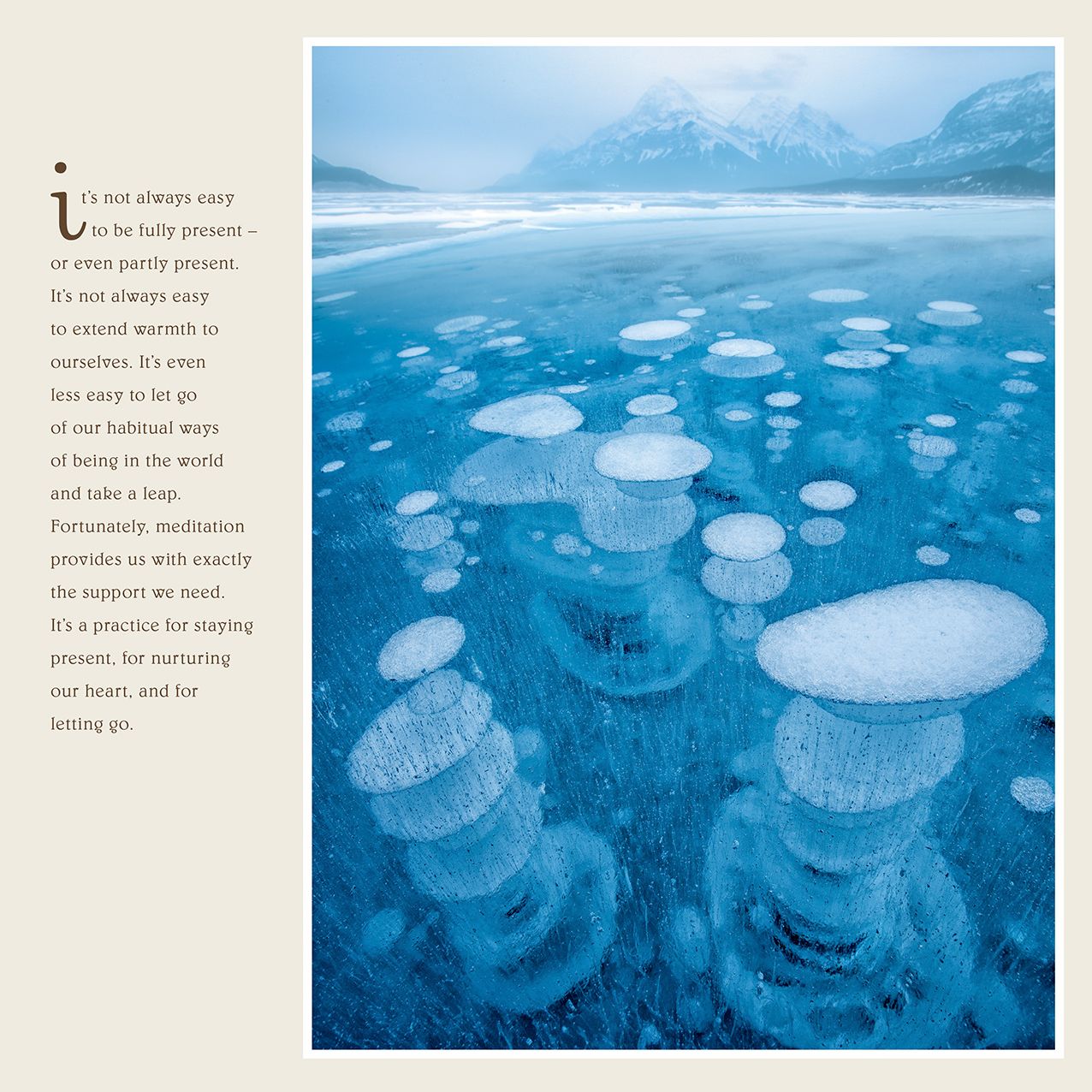 2016 Pema Chodron Wall Calendar