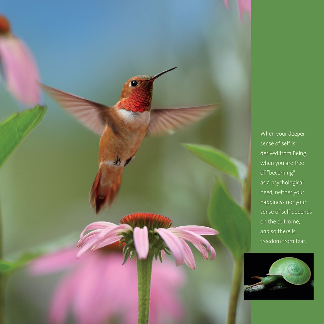 2016 Power of Now Wall Calendar