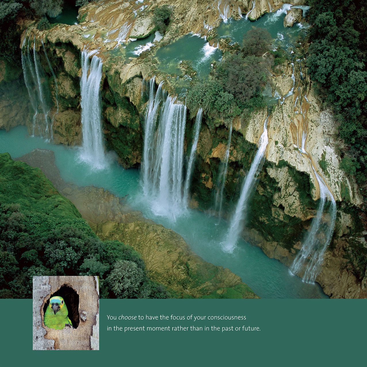 2016 Power of Now Wall Calendar