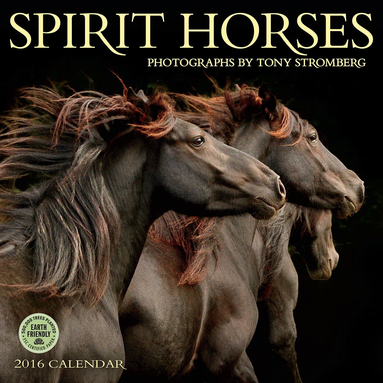 2016 Spirit Horses Wall Calendar