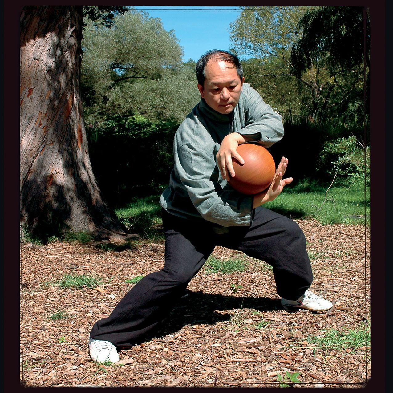 2016 Tai Chi Spirit Wall Calendar