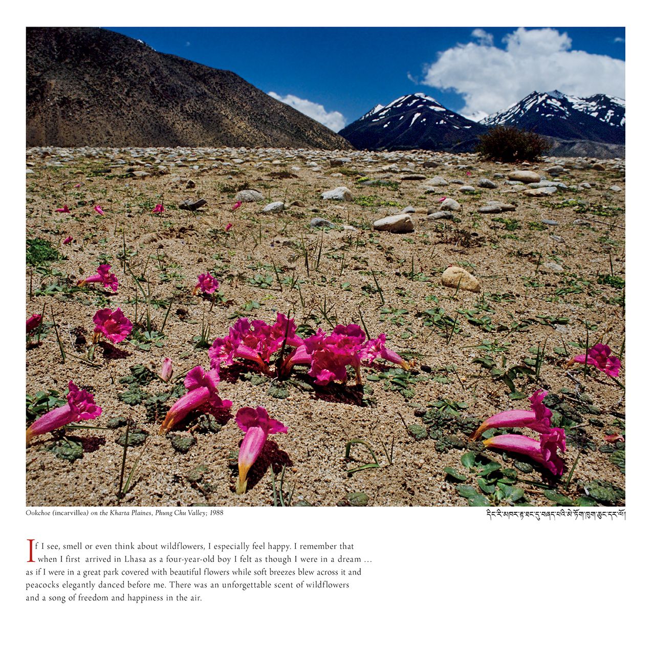 2016 TIBET Wall Calendar