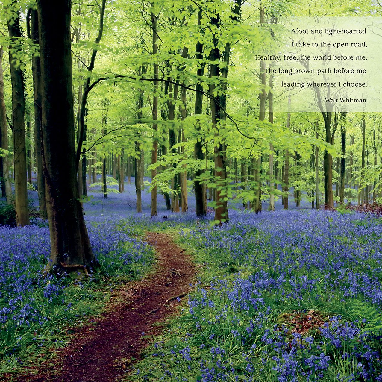 2016 Wanderlust wall calendar