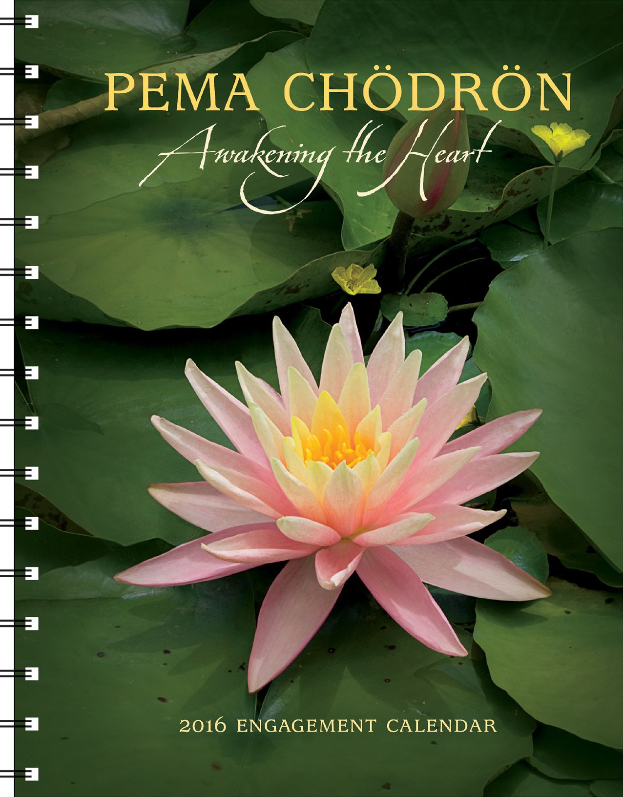 2016 Pema Chodron Engagement Calendar
