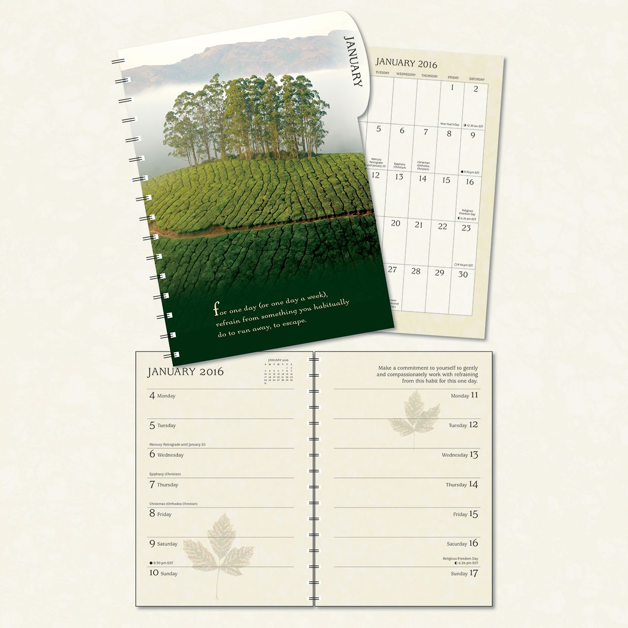 2016 Pema Chodron Engagement Calendar
