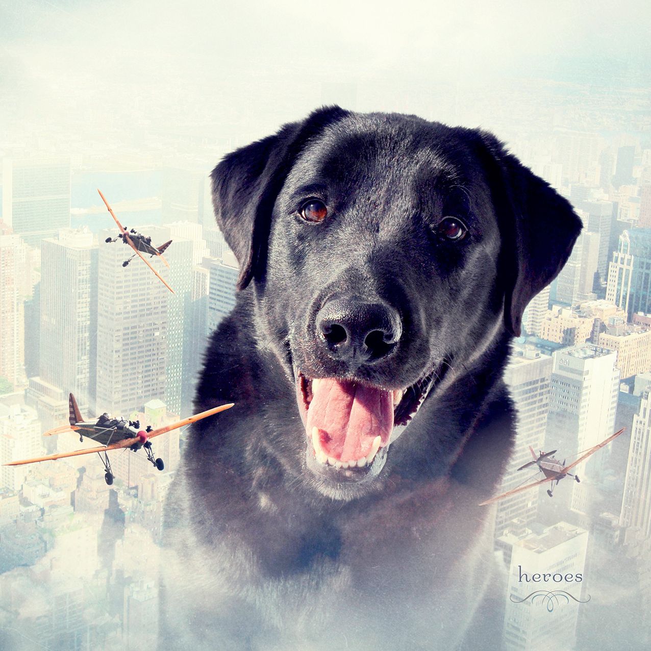 2016 Animal Tales Wall Calendar
