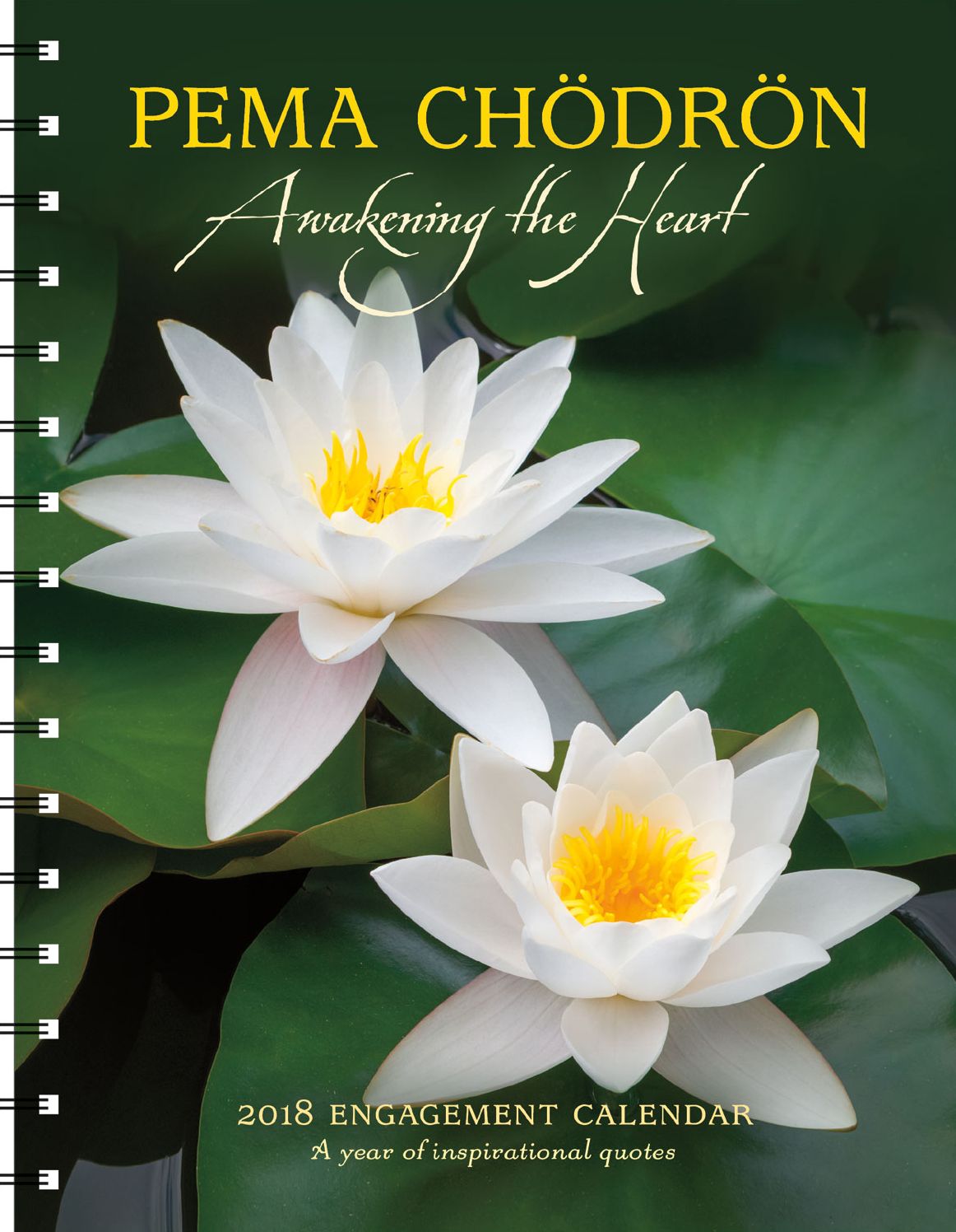 2018 Pema Chodron Engagement Calendar