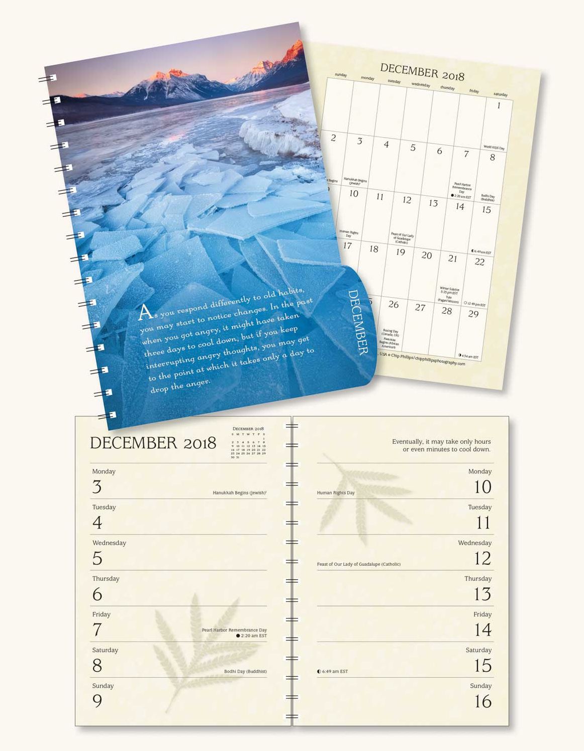 2018 Pema Chodron Engagement Calendar