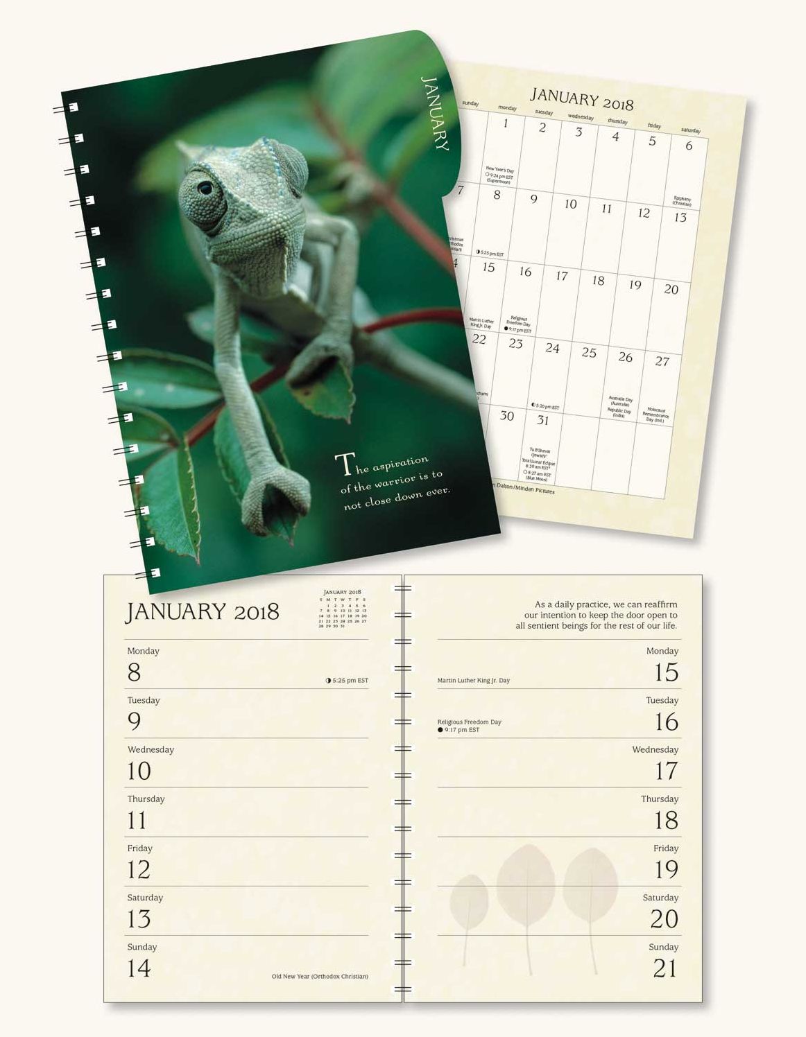 2018 Pema Chodron Engagement Calendar